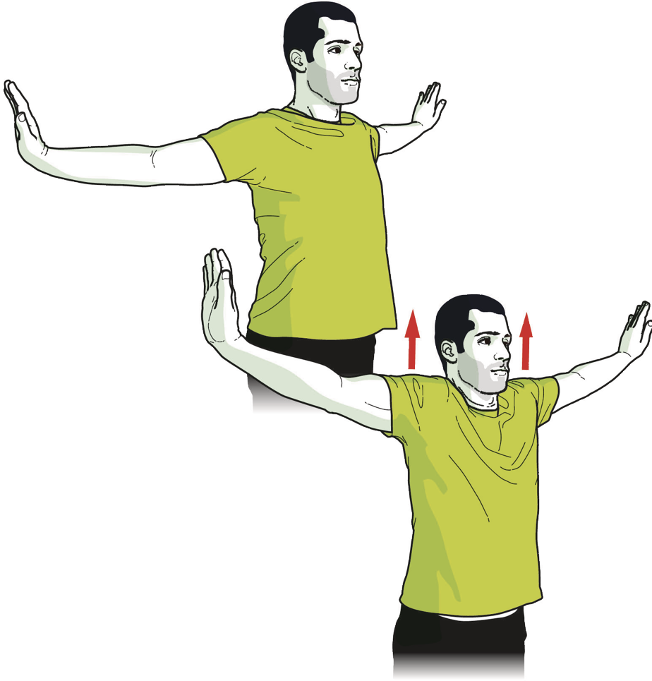 Shoulder Rolls With Arms Extended